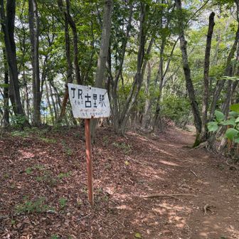 古里駅へ、丹三郎尾根はいい道