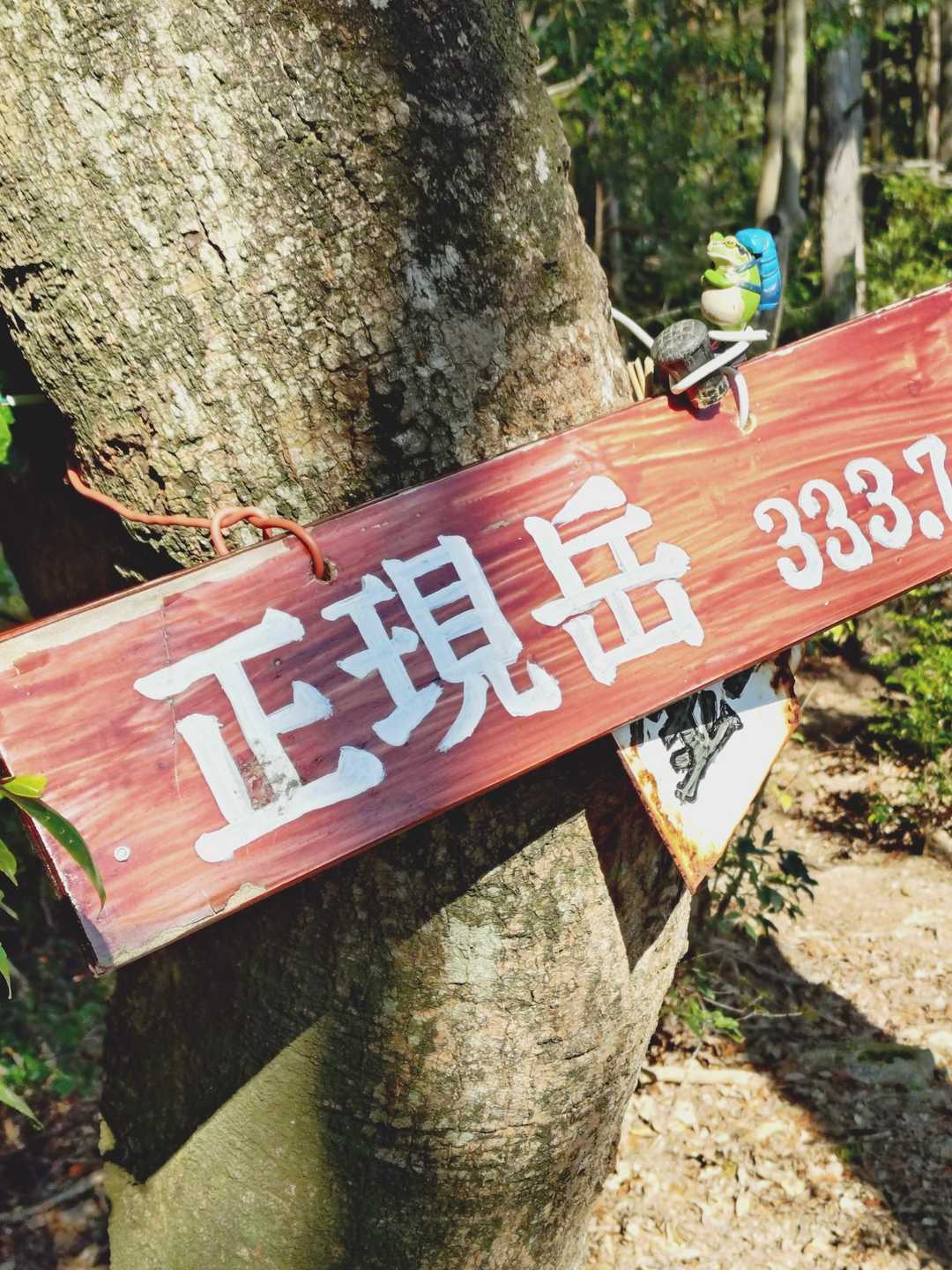 正現岳
