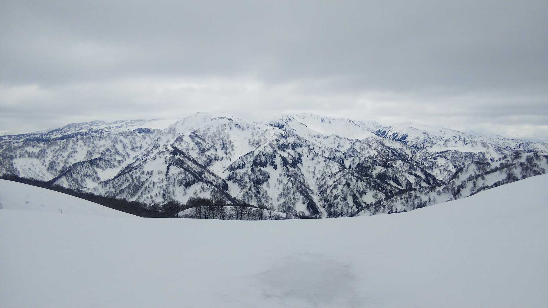 山頂付近から白山🏔️