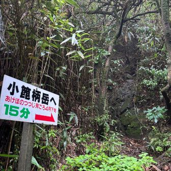 (左手に登っていったのに)