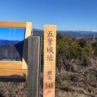 本丸、一の曲輪は見晴らしが良い