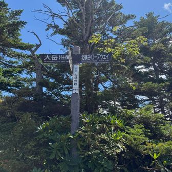 大岳山頂まであと少し！