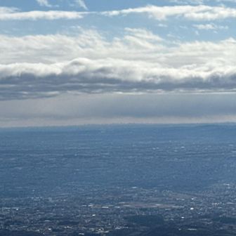 スカイツリー、新宿ビル群が見えました😆