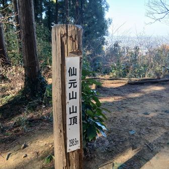 ⑥仙元山　今日の最高峰かな？