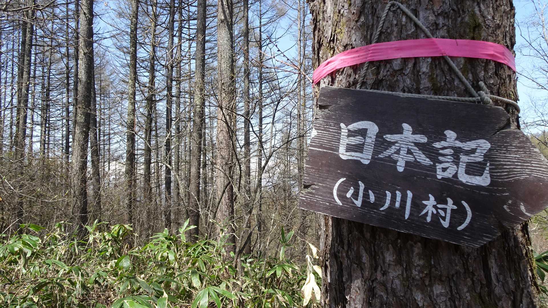 虫倉山合流地点　日本記は地名のようです