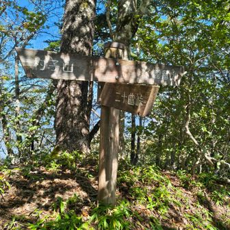 杓子山と鹿留山との分岐