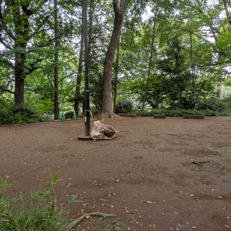 摺鉢山
標高24m