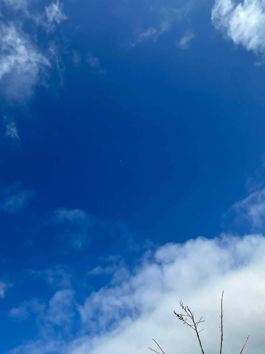 吹上峠-大平山-四方台-貫山 周回コースの写真