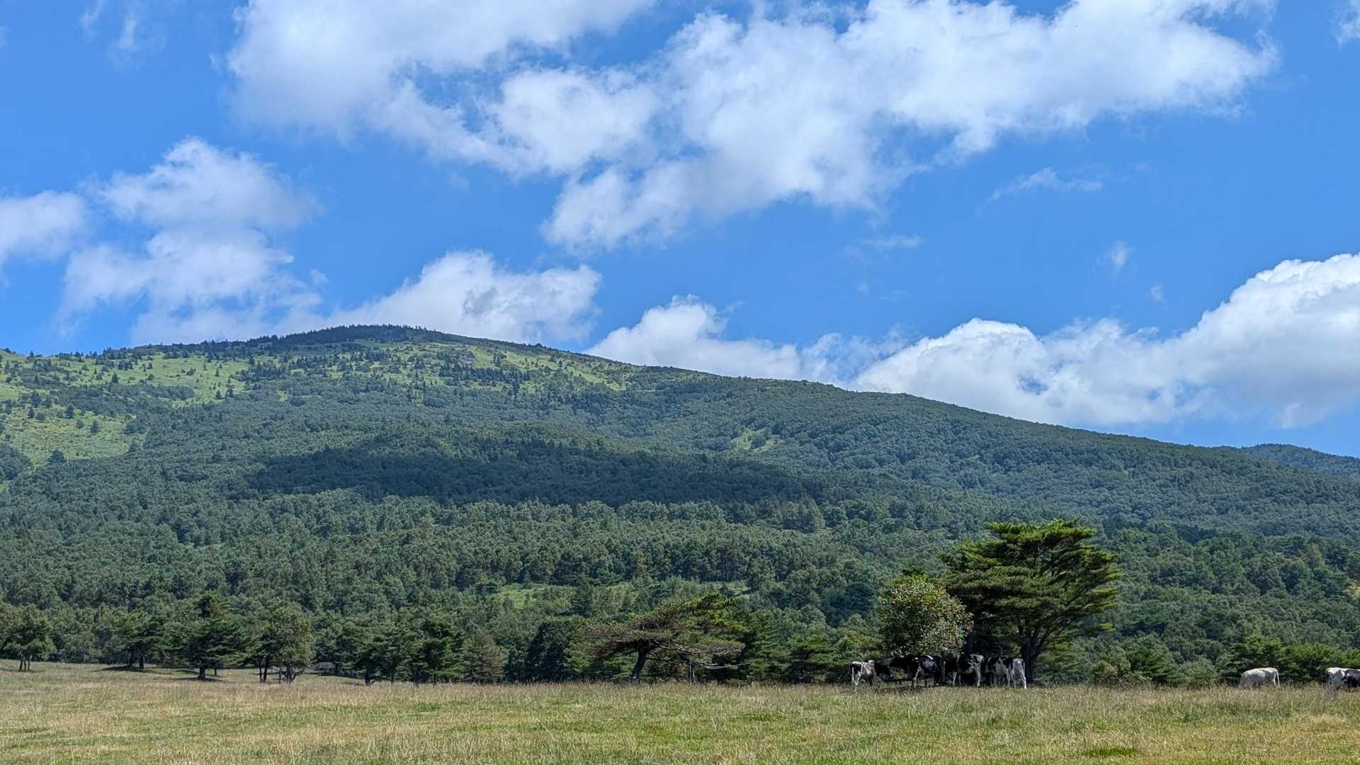 今日も楽しく歩けました👣