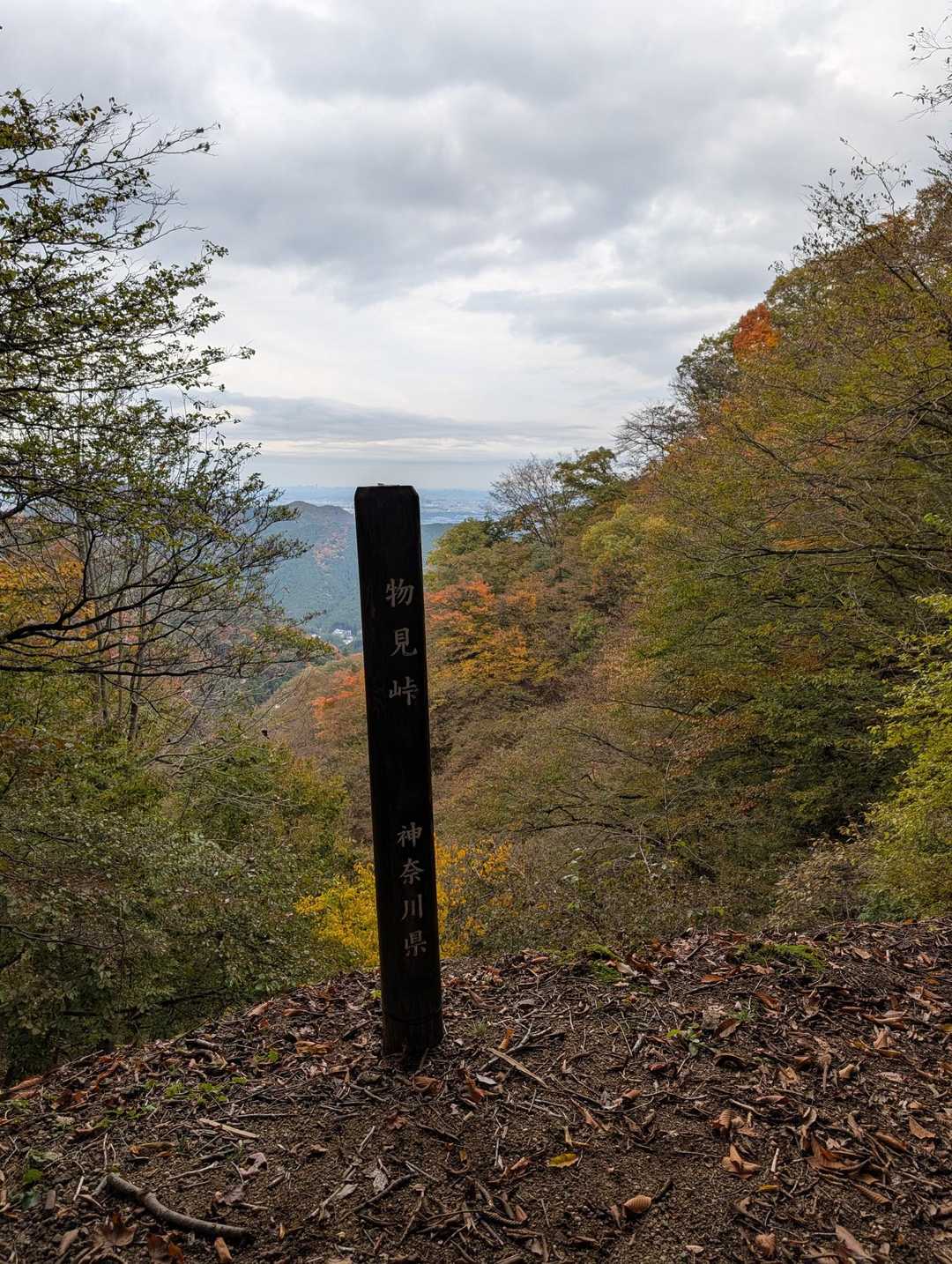 物見峠（ここから煤ヶ谷に行けるが、三峰山に向かい尾根づたいに降りることを選択）