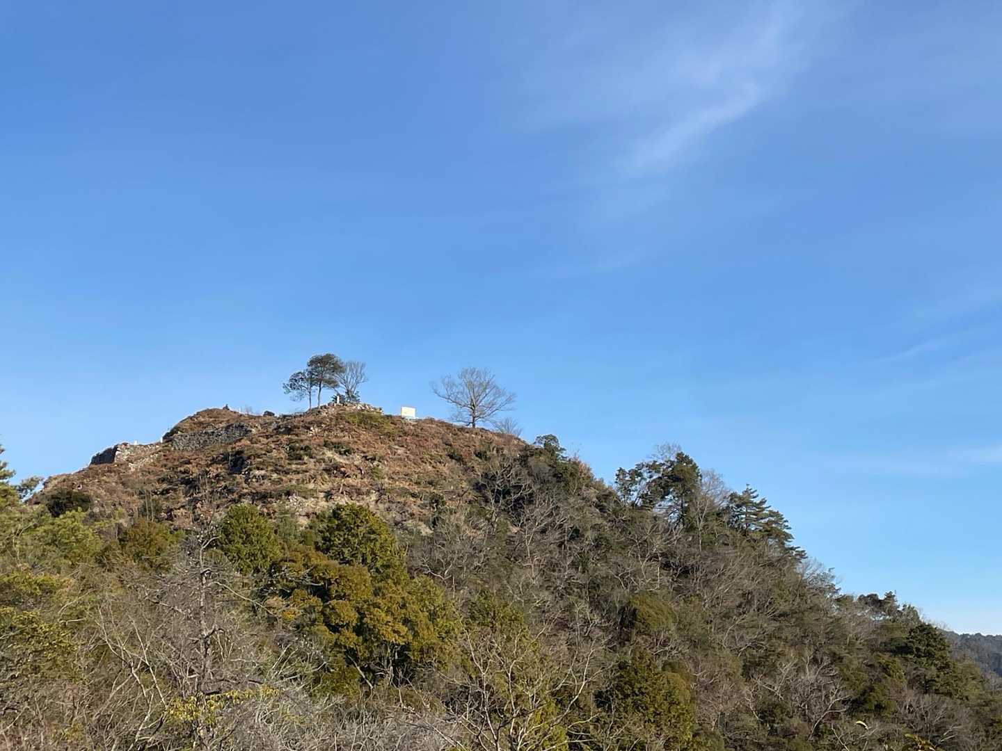山頂が見えました