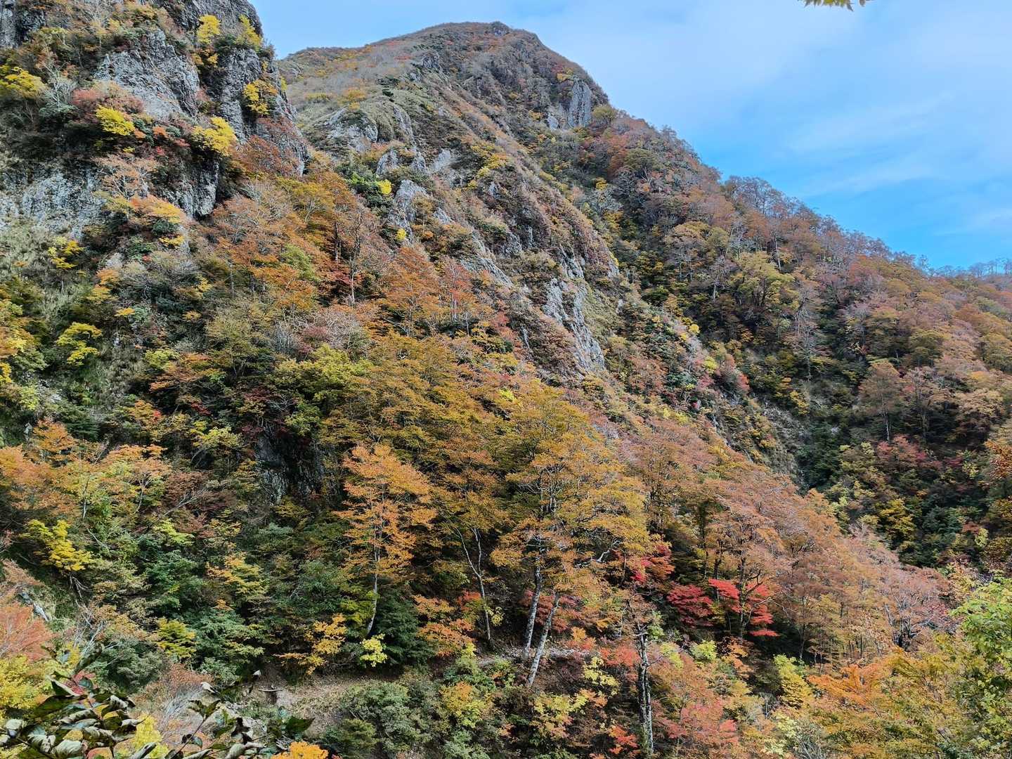 誰も見にこないなんて勿体ない