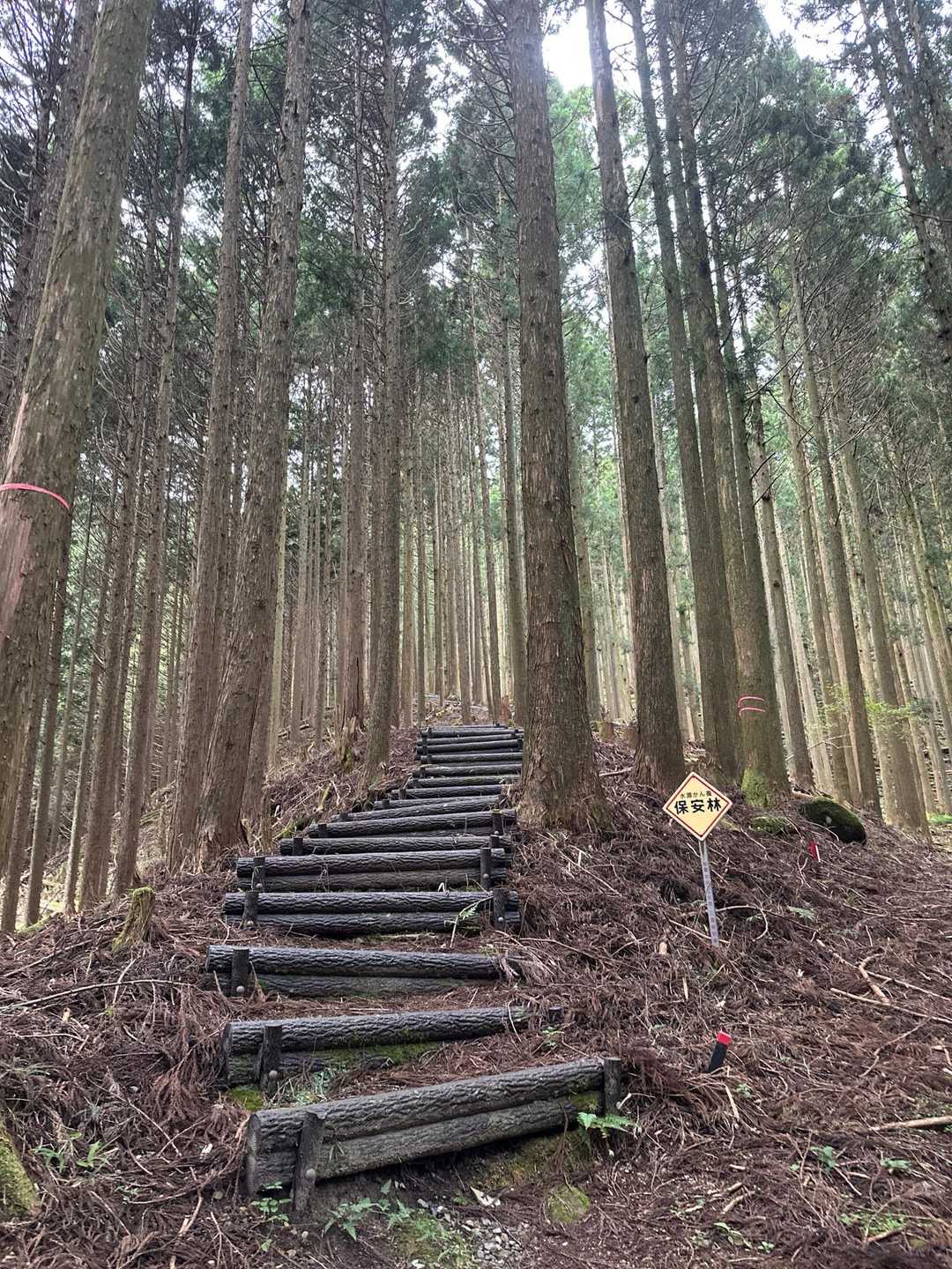 地獄の階段スタート🏃‍♂️