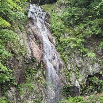 錦滝