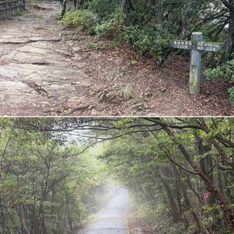 再起動…低雲が垂れ込める遊歩道