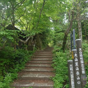 夏山登山口から入山