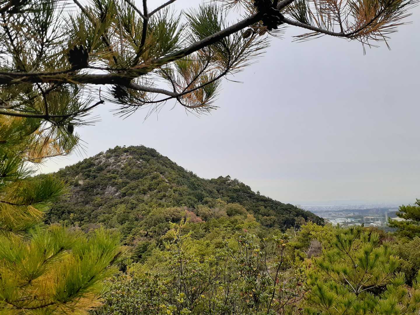 右のポッコリは
急登を登りきって
最初に絶景を見た
絶景ポイント地点です😊