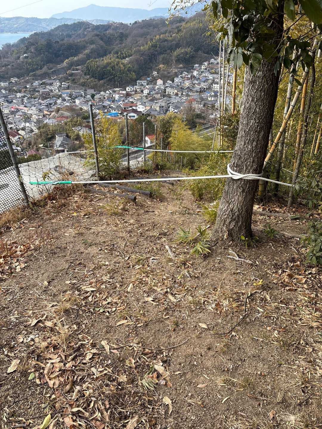 で、ここ行ったらいけんのかと思って、左手に
道迷い