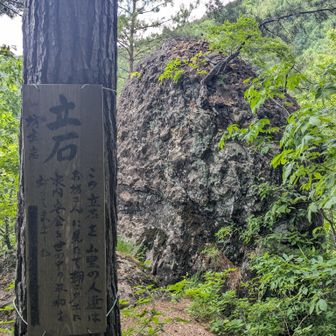 全て左ルートを取ったので 亀石とかは見ることなく通過。
千畳岩は乗っかって眺望楽しんだ(画像なし)