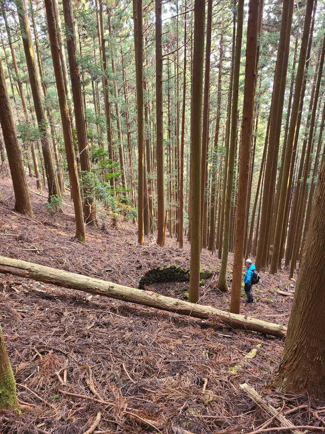 石垣発見。