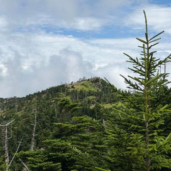 明星ヶ岳山頂から望む八経ヶ岳