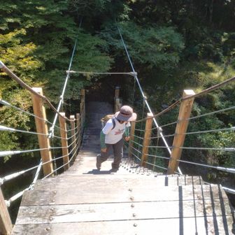 吊り橋が急な階段だったりすることも。