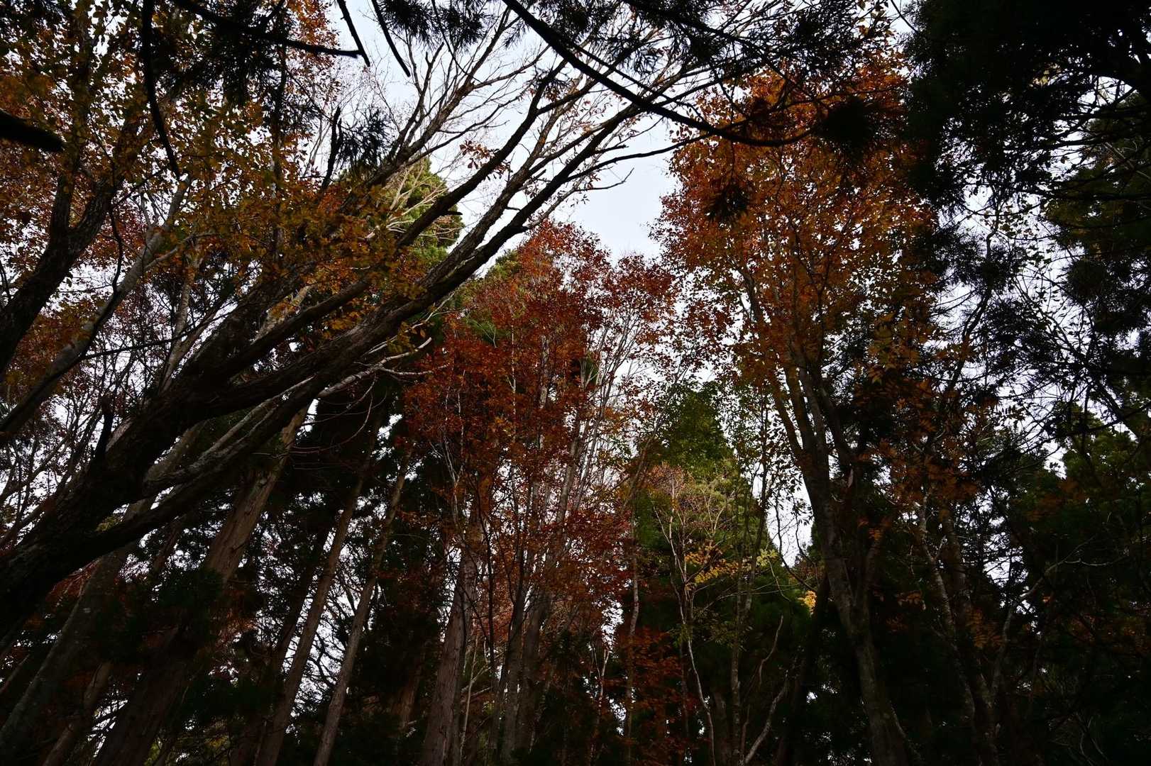 明るくなってきました〜
