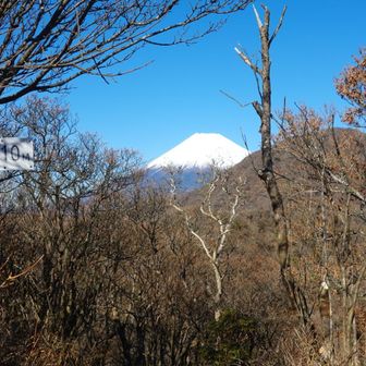 呼子岳から富士山と越前岳