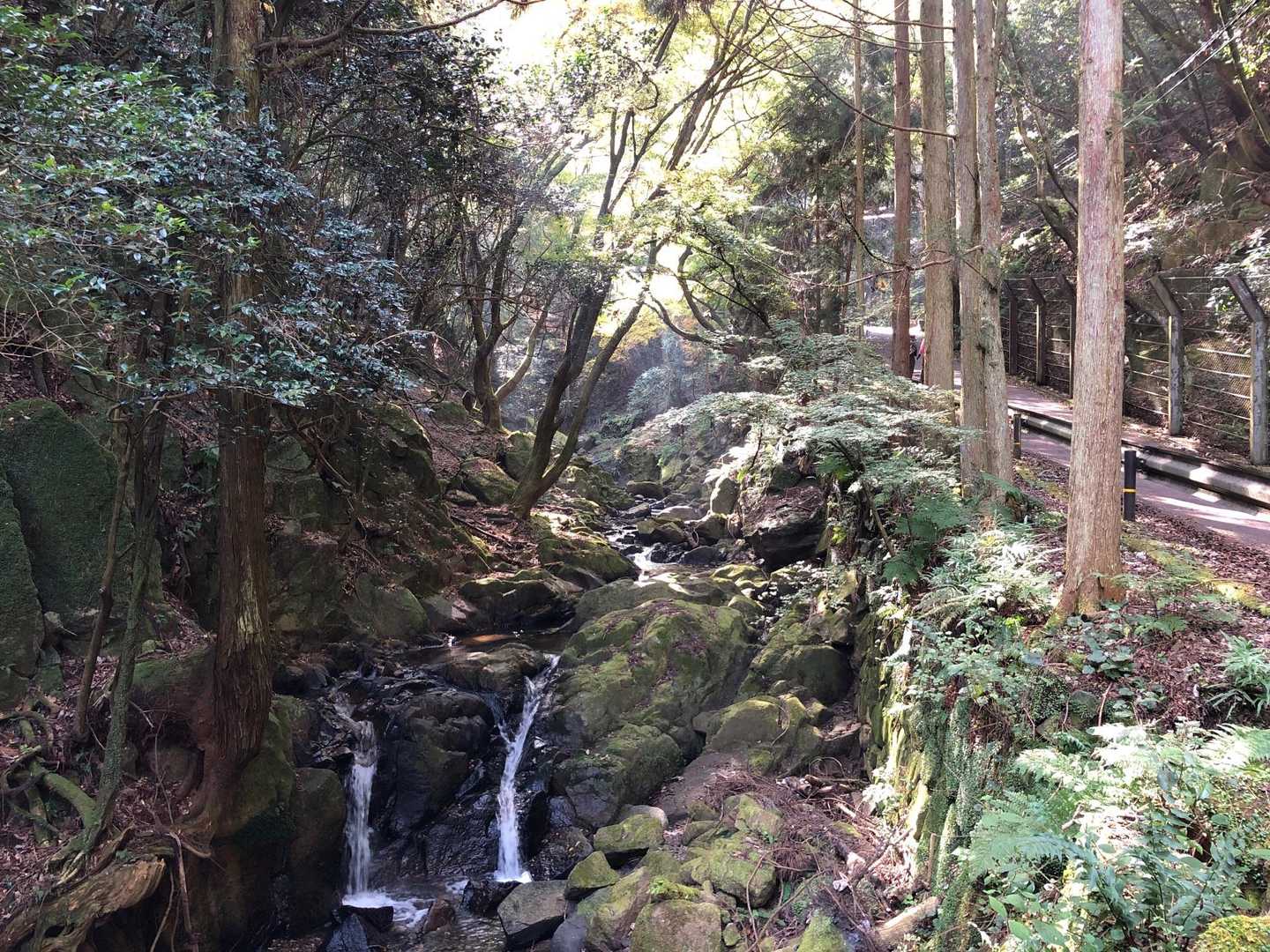 追分駅-音羽山-大谷駅 縦走コースの写真