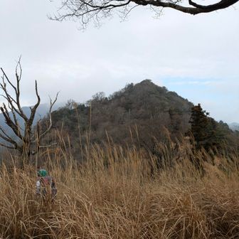 岳滅鬼岳へ