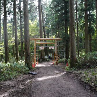 一の鳥居は、架替工事中