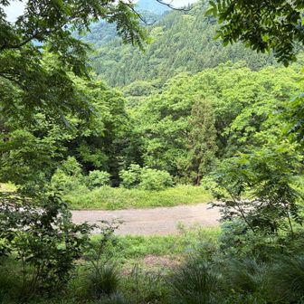 林道に出た
