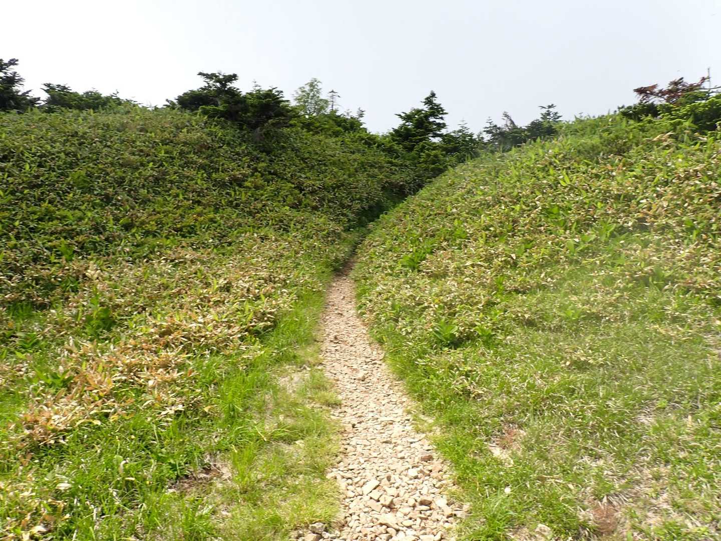 ここを過ぎるとどんな景色？