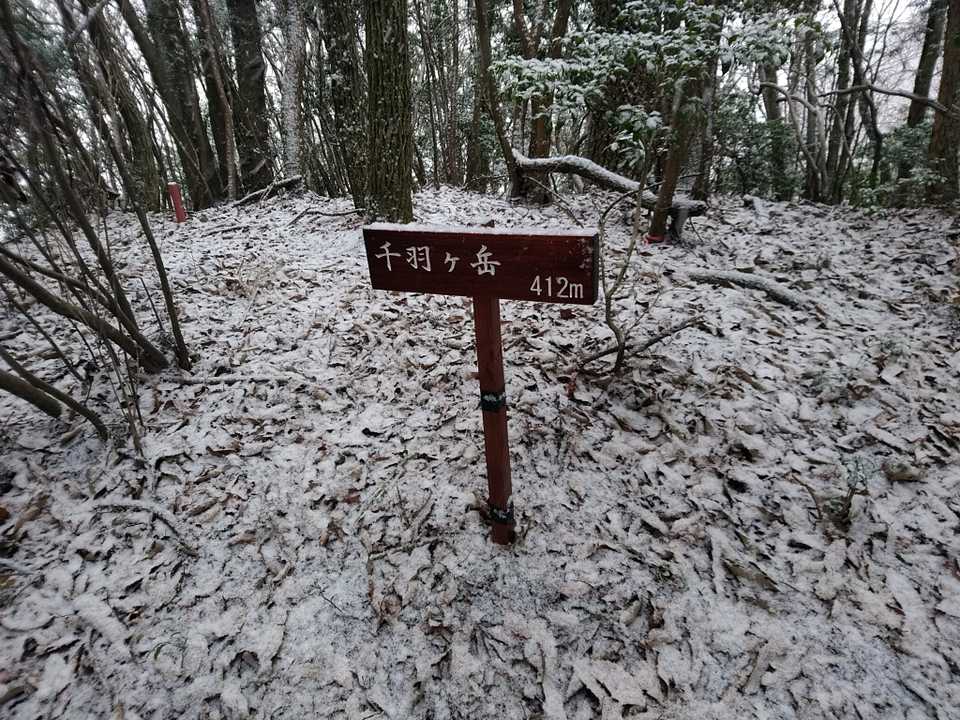 ここが千羽ヶ岳の山頂😄
でも三角点はもう少し先にあるようです👀