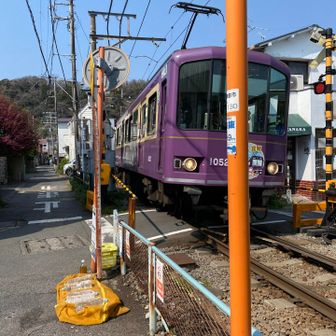 ハイキングコースが終わり、長谷エリア目指して🚶