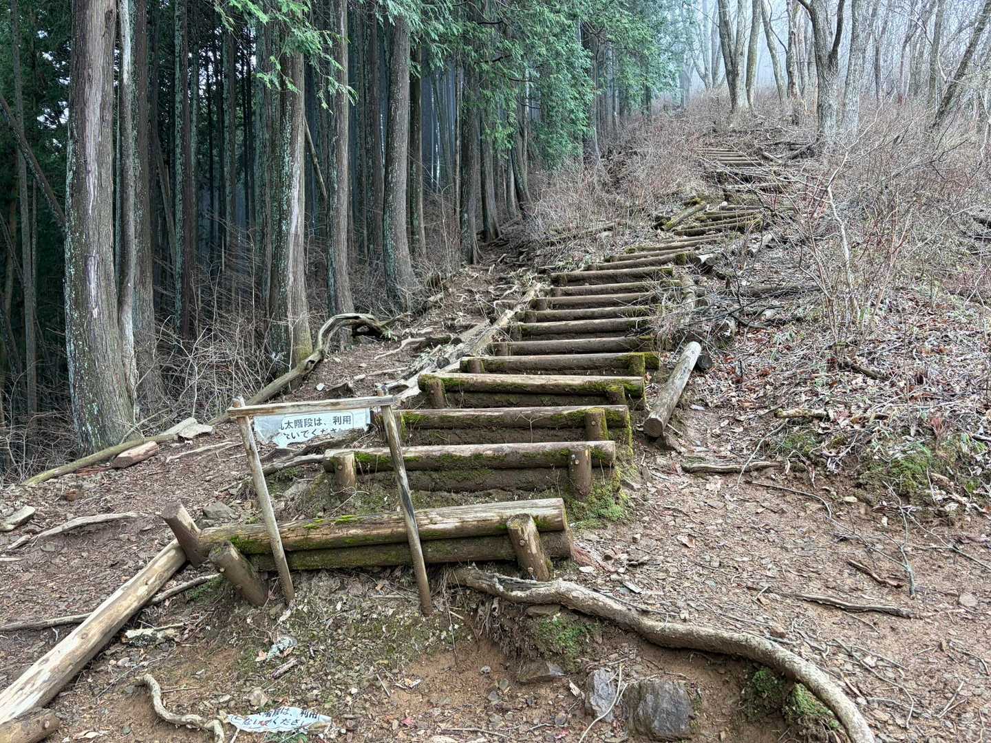 ここの階段も崩れているので使用禁止