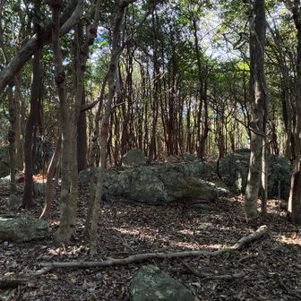 八大竜王北峰頂上
頂上辺りには岩がある。