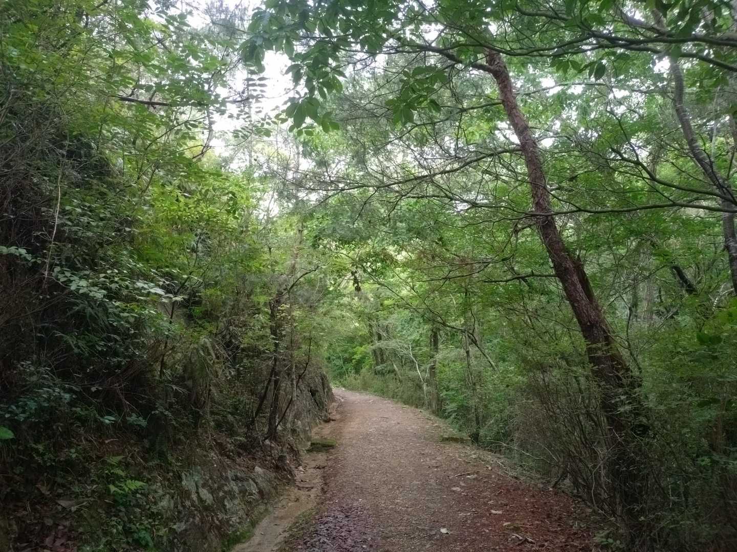 雨上りでも快適に歩けます🎵