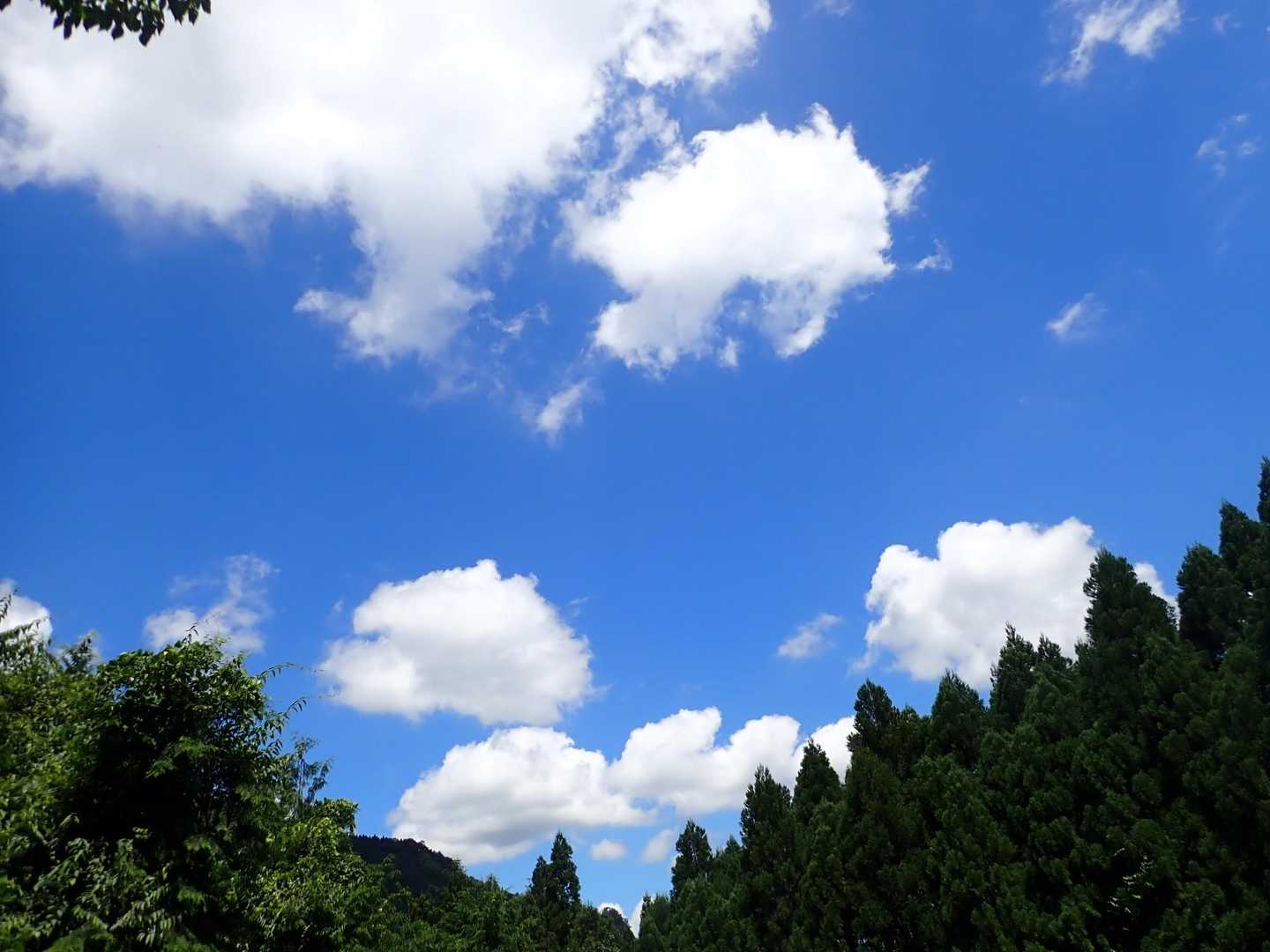 青空が嬉しい一日でした😊