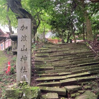 山頂手前にいきなり神社が出てくる。ビックリです！