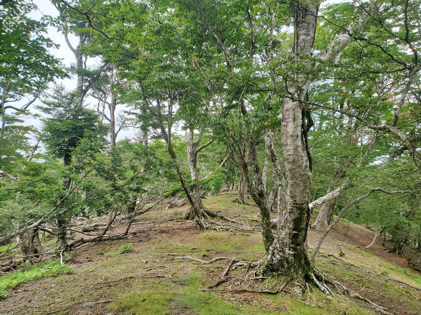 気持ち良い森林浴👣