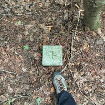 一旦鳩打峠に降りた後鍵懸山へ。
山名板見当たらず。
三角点△あり。