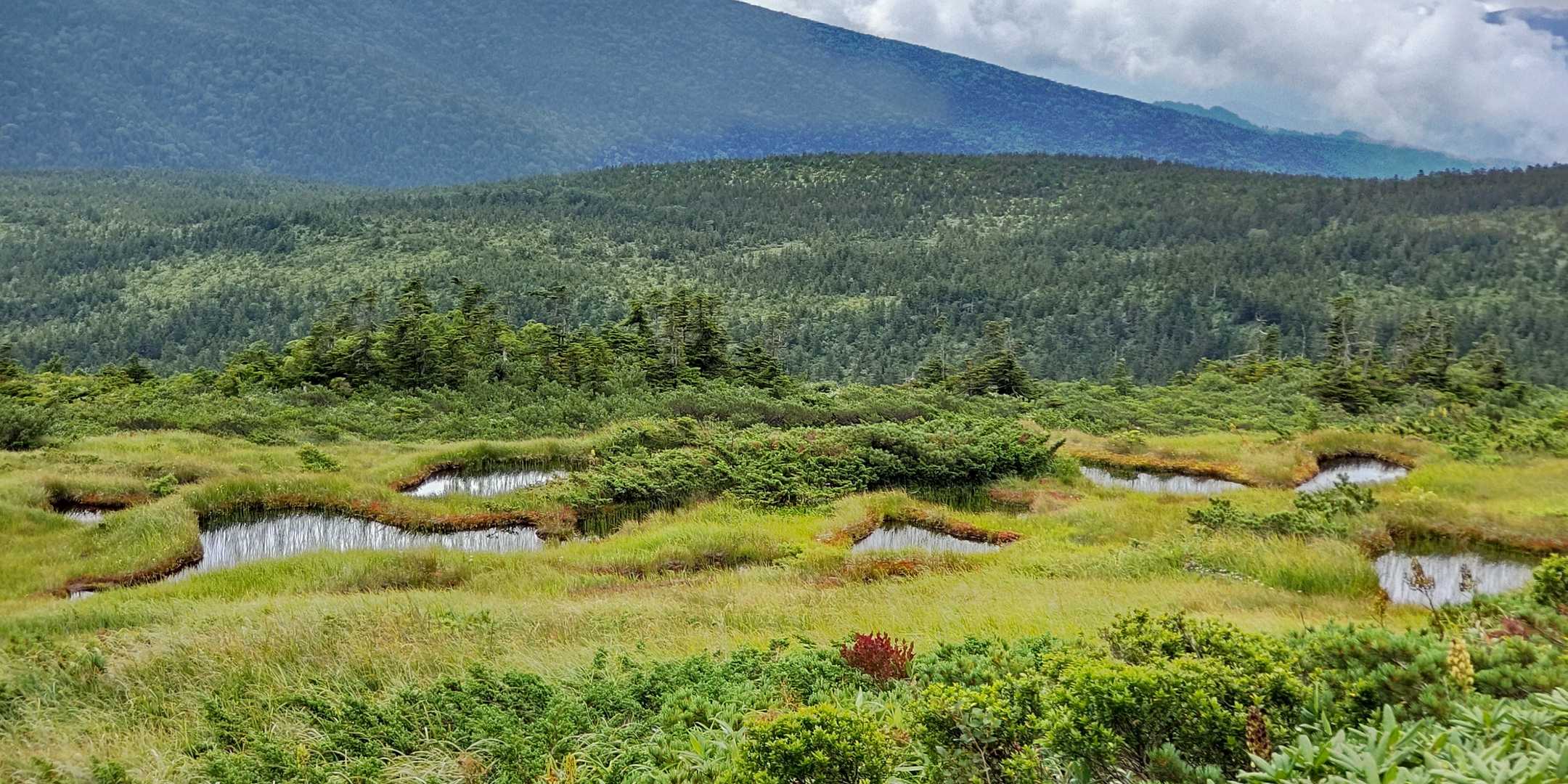 池、多数あり、絶景です。