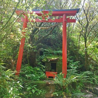 御嶽神社（枚聞神社奥宮）
おんたけじんじゃ
頂上付近