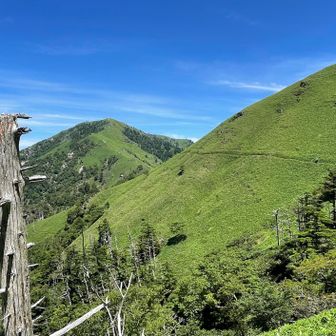 枯れ木と剣山
