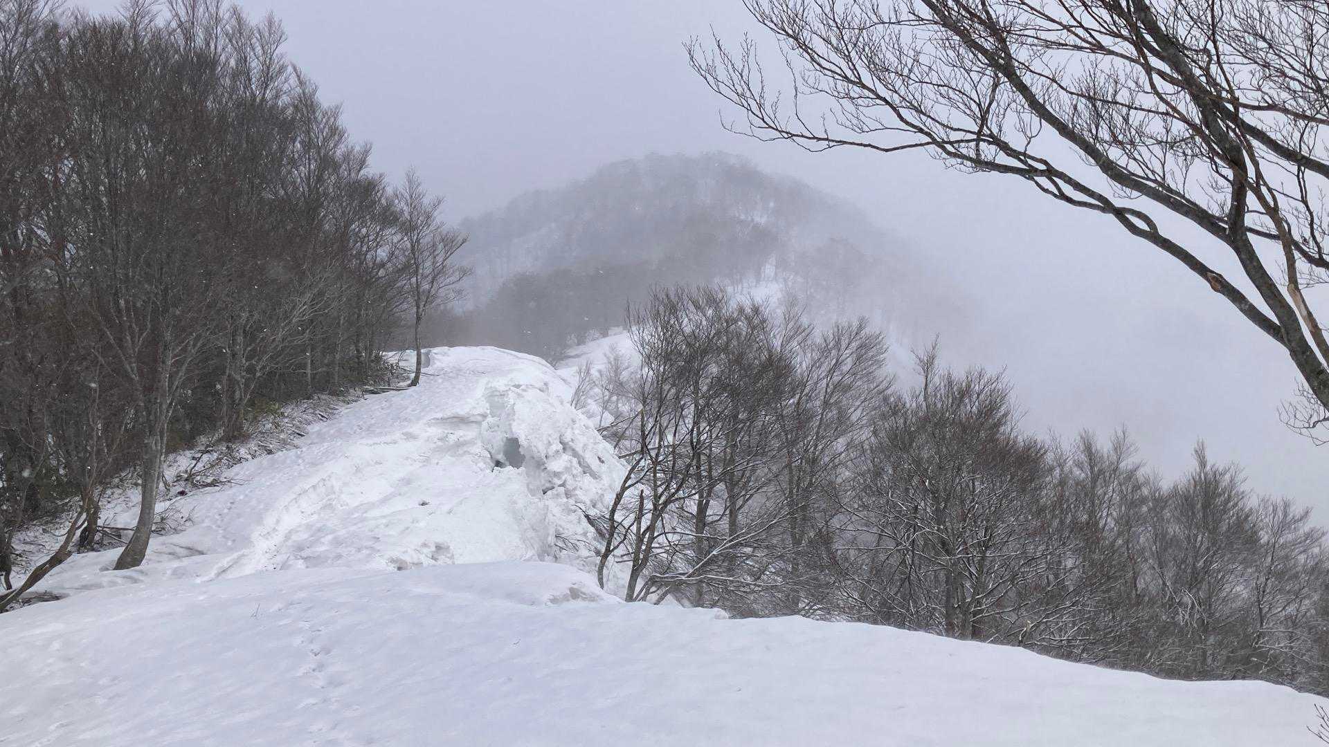 蕎麦粒山 往復コースの写真