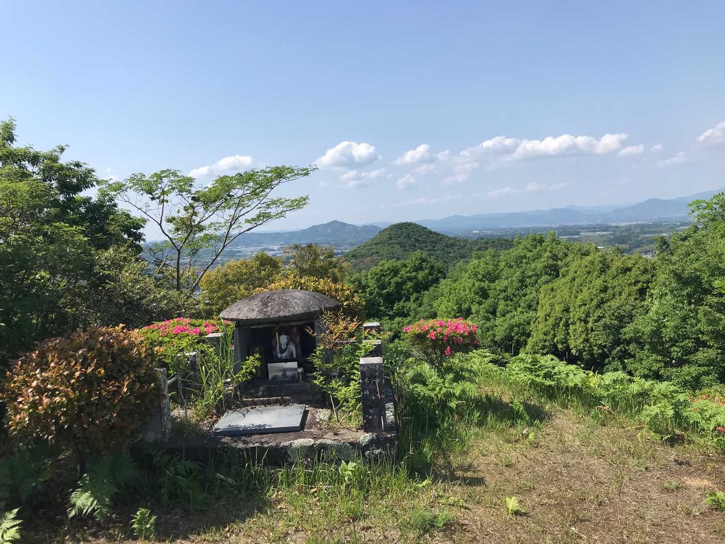 でました。開けた山頂