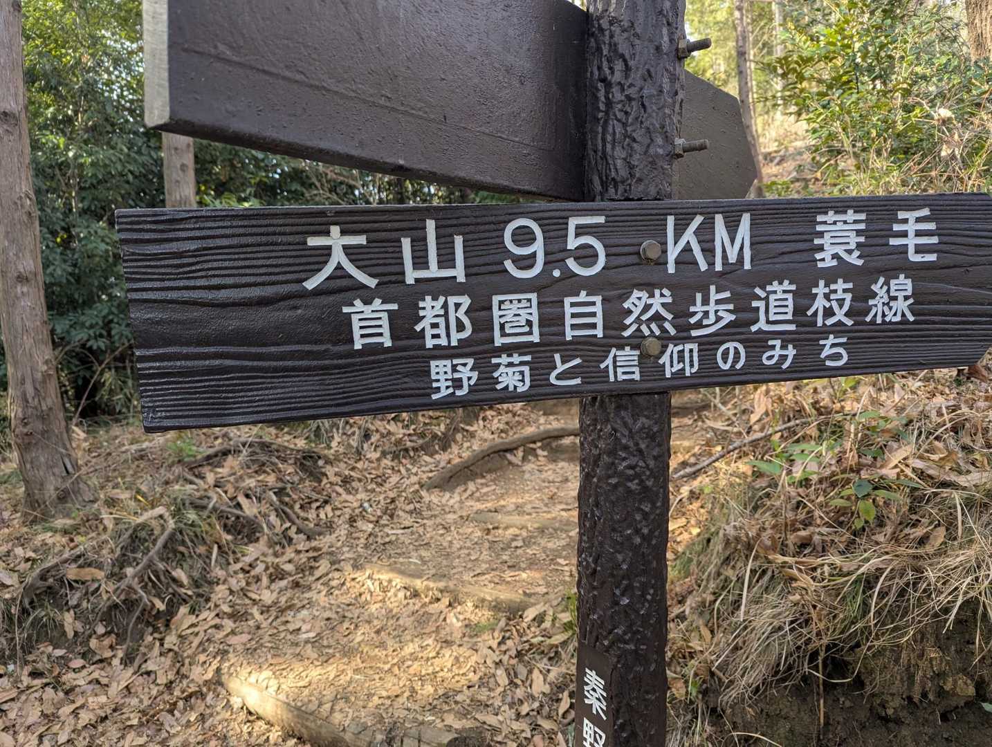 【フラット登山】海から山へ丹沢を目指す　湘南から幾重もの山と谷を越えての写真