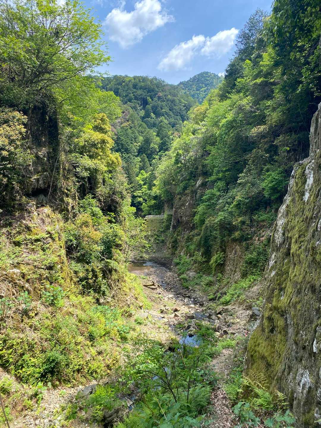 なんかいい感じな谷来ました‼️🔥