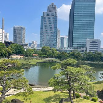 大山からの眺め。